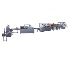 KXZ-130B全自動雪糕家庭裝封盒機